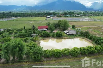 Land for sale in Chiang Dao, Chiang Mai