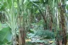 Land for sale in Chom Phon, Bangkok near MRT Lat Phrao