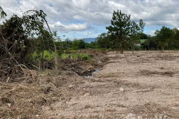 Land for sale in Hin Tang, Nakhon Nayok