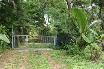 Land for sale in Pong, Chonburi