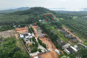 Land for sale in Thep Krasatti, Phuket