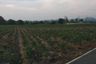 Land for sale in Samnak Thon, Rayong