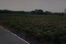 Land for sale in Samnak Thon, Rayong