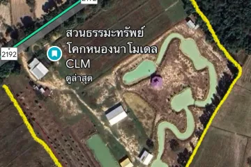 Land for sale in Som Sa-at, Ubon Ratchathani