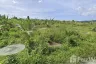 Land for sale in Si Sunthon, Phuket