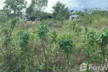 Land for sale in Phe, Rayong