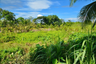 Land for sale in Ko Lanta Yai, Krabi