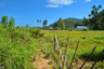 Land for sale in Ko Lanta Yai, Krabi