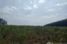 Land for sale in Maenam Khu, Rayong