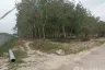 Land for sale in Maenam Khu, Rayong