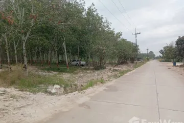 Land for sale in Maenam Khu, Rayong