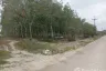 Land for sale in Maenam Khu, Rayong
