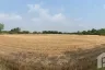 Land for sale in Khotchasit, Saraburi