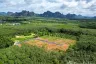 Land for sale in Sai Thai, Krabi