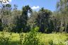 Land for sale in Pa Khlok, Phuket