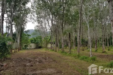 Land for sale in Pa Khlok, Phuket