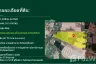 Land for sale in Khao Hin Son, Chachoengsao