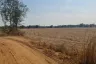 Land for sale in Phak Kha, Sa Kaeo