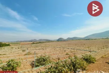 Land for sale in Nong Ri, Kanchanaburi