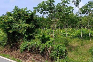 Land for sale in Mai Khao, Phuket