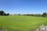 Land for sale in Rua Yai, Suphan Buri