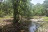 Land for sale in Mai Khao, Phuket