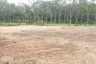 Land for sale in Mai Khao, Phuket