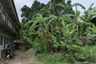 Land for sale in Baan Suan Loch Palm, Kathu, Phuket