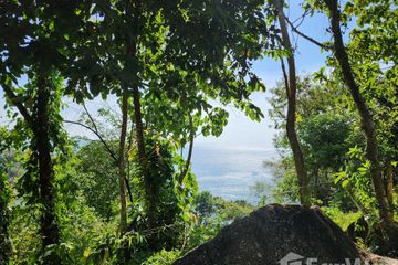 Land for sale in Kamala, Phuket