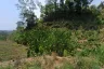 Land for sale in Karon, Phuket