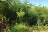 Land for sale in Khlong Sam Prawet, Bangkok
