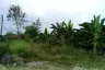 Land for sale in Chalong, Phuket