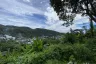 Land for sale in Karon, Phuket