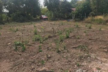 Land for sale in Mueang, Loei