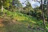 Land for sale in Kamala, Phuket