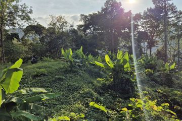 Land for sale in Kamala, Phuket