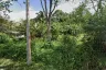 Land for sale in Ao Nang, Krabi