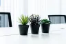 Office for rent in BTC Space Phuket, Chalong, Phuket