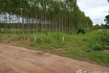 Land for sale in Ko Chan, Chonburi