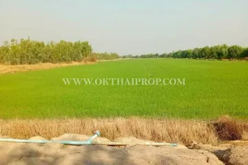 Land for sale in Bang Pla Kot, Nakhon Nayok