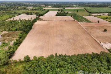 Land for sale in Phak Top, Udon Thani