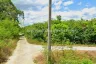 Land for sale in Lao Yao, Lamphun