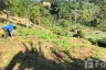 Land for sale in Sakhu, Phuket