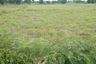 Land for sale in Laluat, Buriram