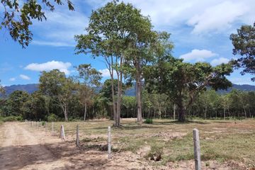Land for sale in Taling Ngam, Surat Thani