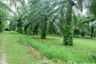 Land for sale in Tha Yang, Chumphon