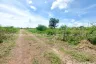 Land for sale in Na Mai, Pathum Thani