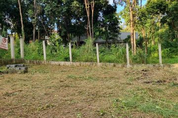 Land for sale in Mae Raem, Chiang Mai