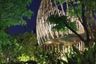 1 Bedroom Condo for Sale or Rent in Elio Del Nest, Bang Na, Bangkok near BTS Udom Suk
