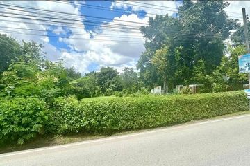 Land for sale in Suthep, Chiang Mai